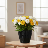 Papatya Saksı 6 LT - Görsel 4