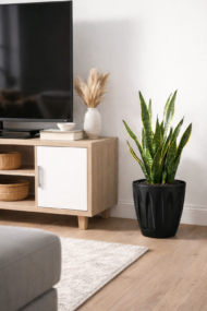 Papatya Saksı 12 Lt - Görsel 5